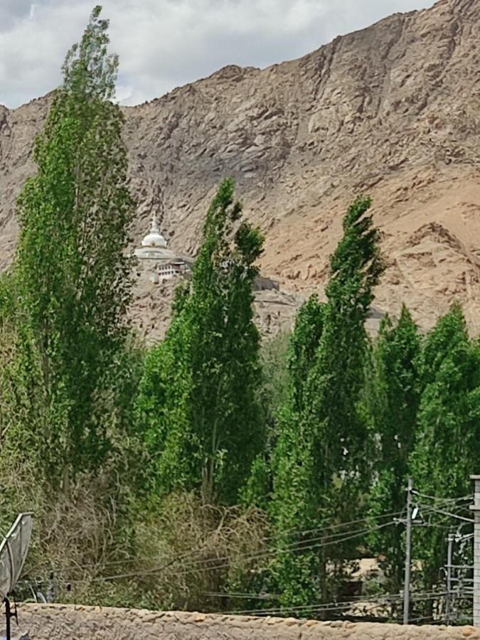Paradise Leh Residency Dış mekan fotoğraf